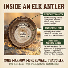 Heartland Antlers dental-support chew promotes cleaner teeth and fresher breath.