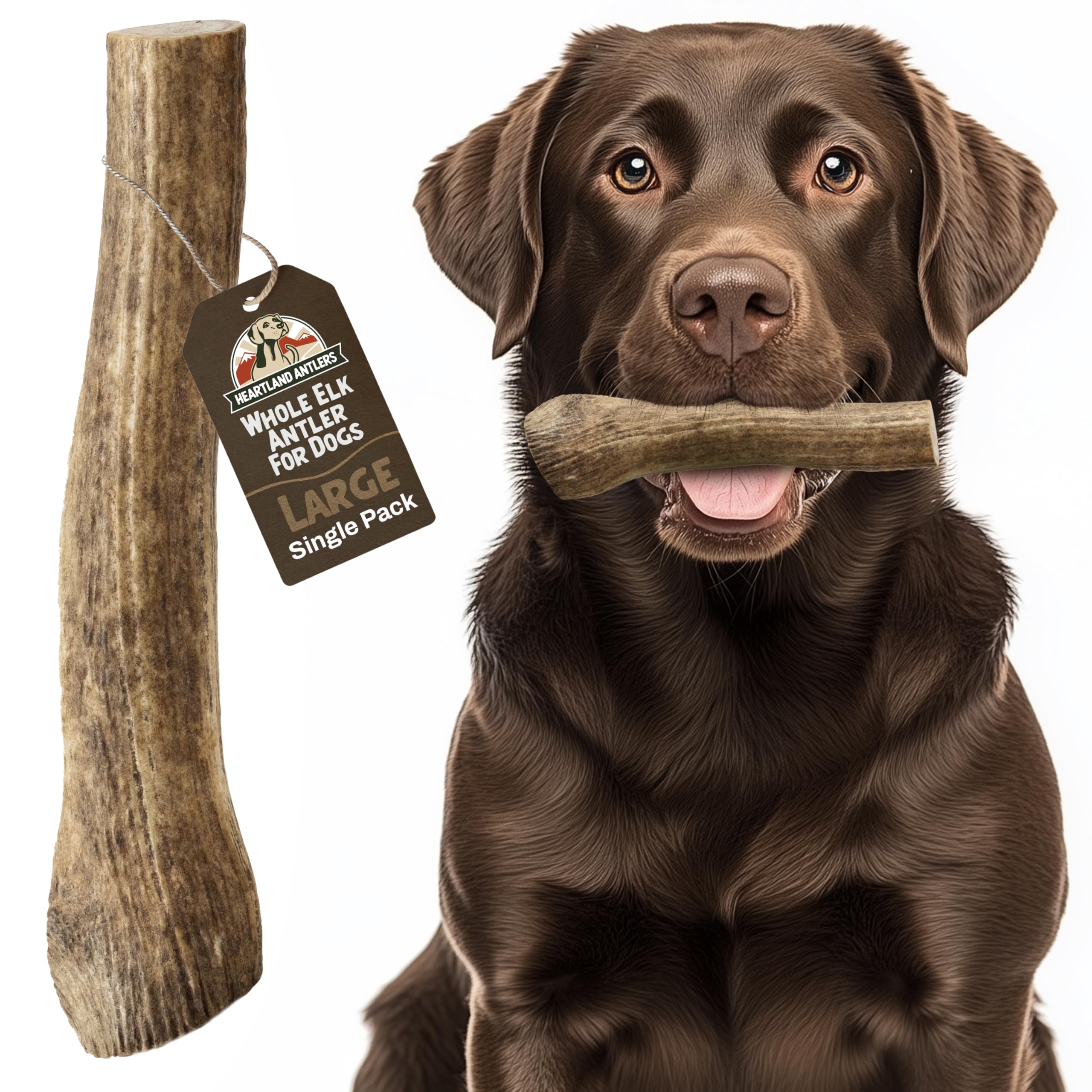 Heartland Elk Antlers 7-inch large chew for aggressive chewers, long-lasting entertainment.