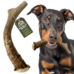 Heartland Antlers dog chew xlarge 8-10in, ideal for aggressive chewers