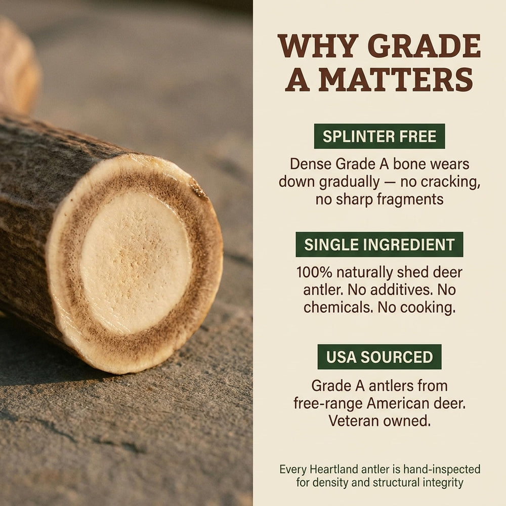 Heartland Antlers Grade A split antler for strong chewers.