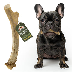 Heartland Antlers dog deer antler pack for mess-free, long-lasting chewing.