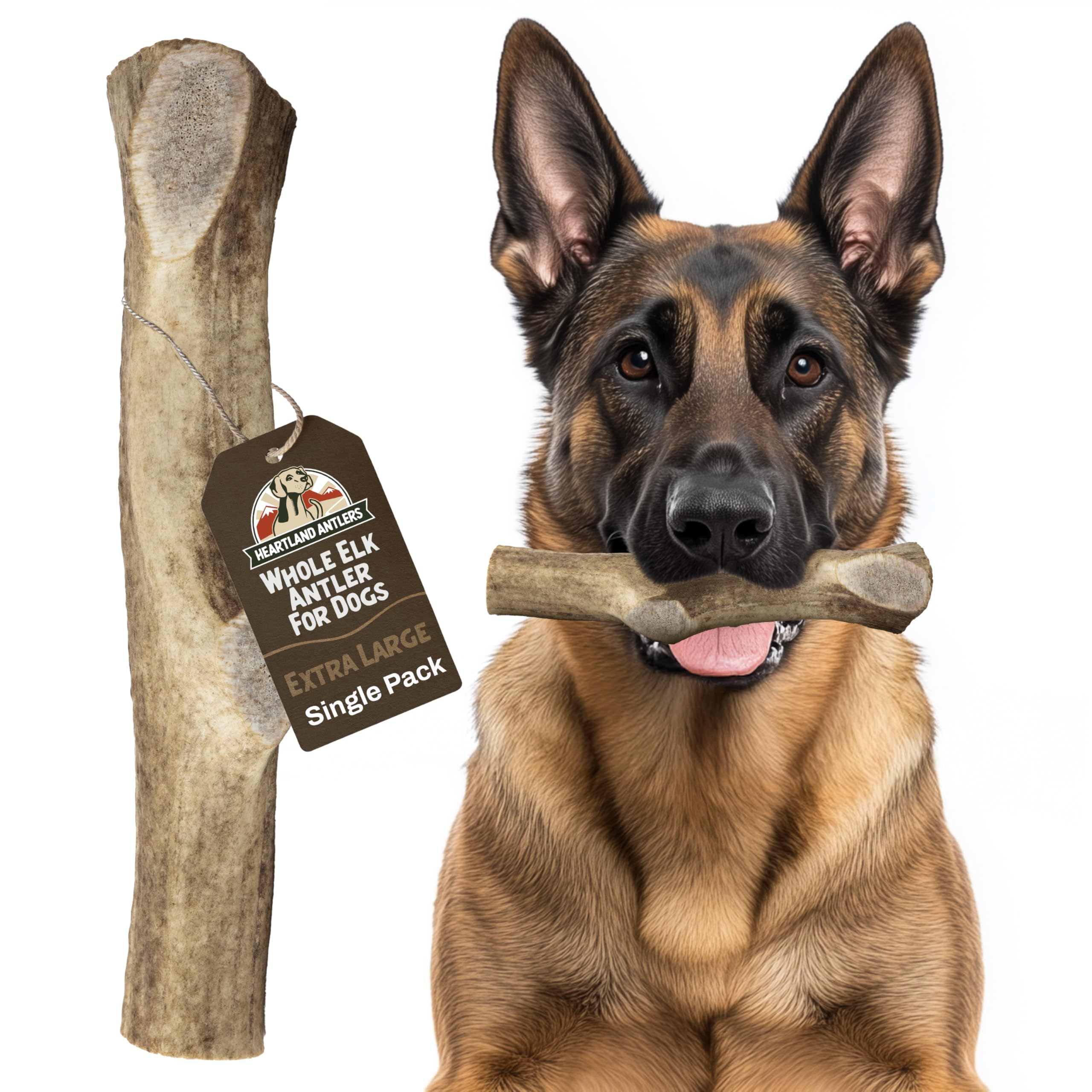 Heartland Antlers whole elk antler dog chew for lasting entertainment and natural wear.