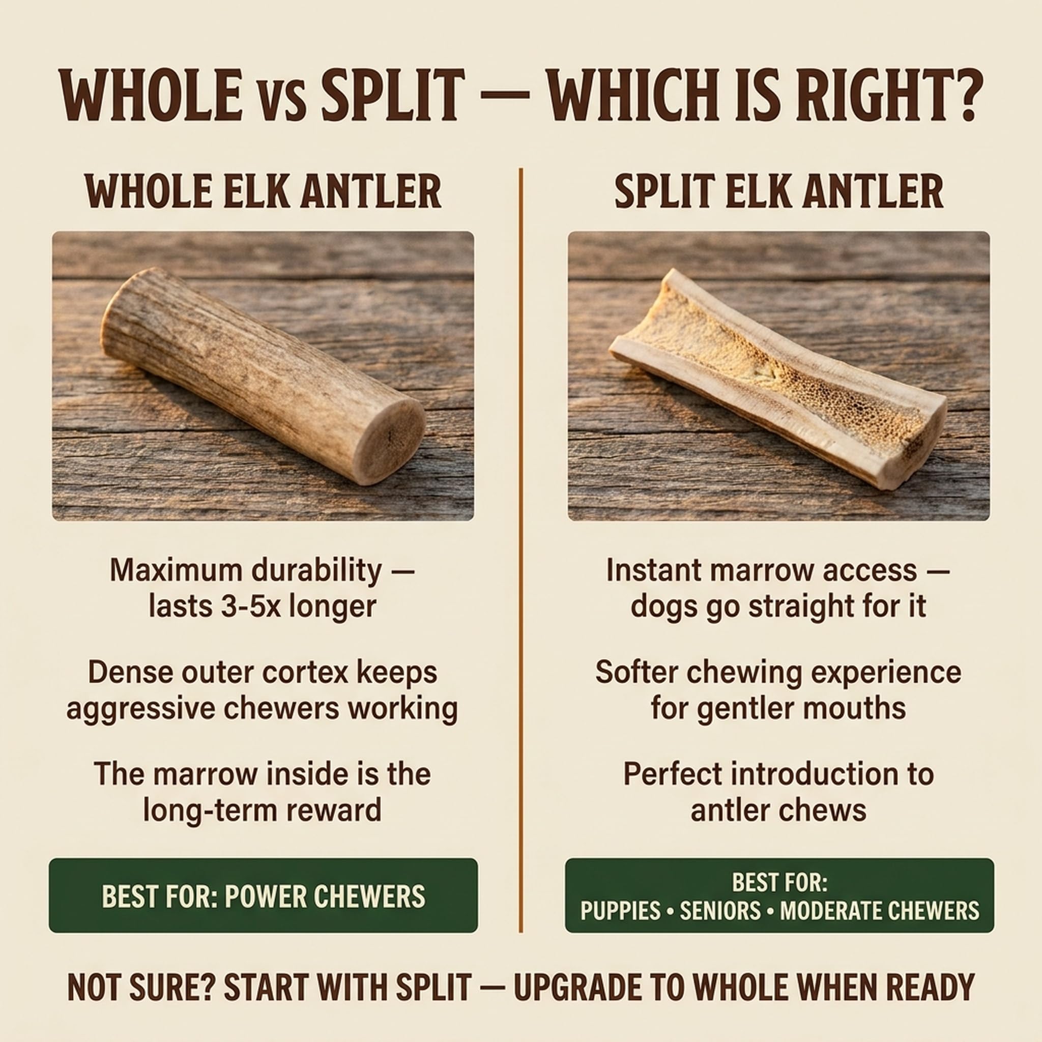 Heartland Elk Antlers offer a natural alternative to synthetic chews.