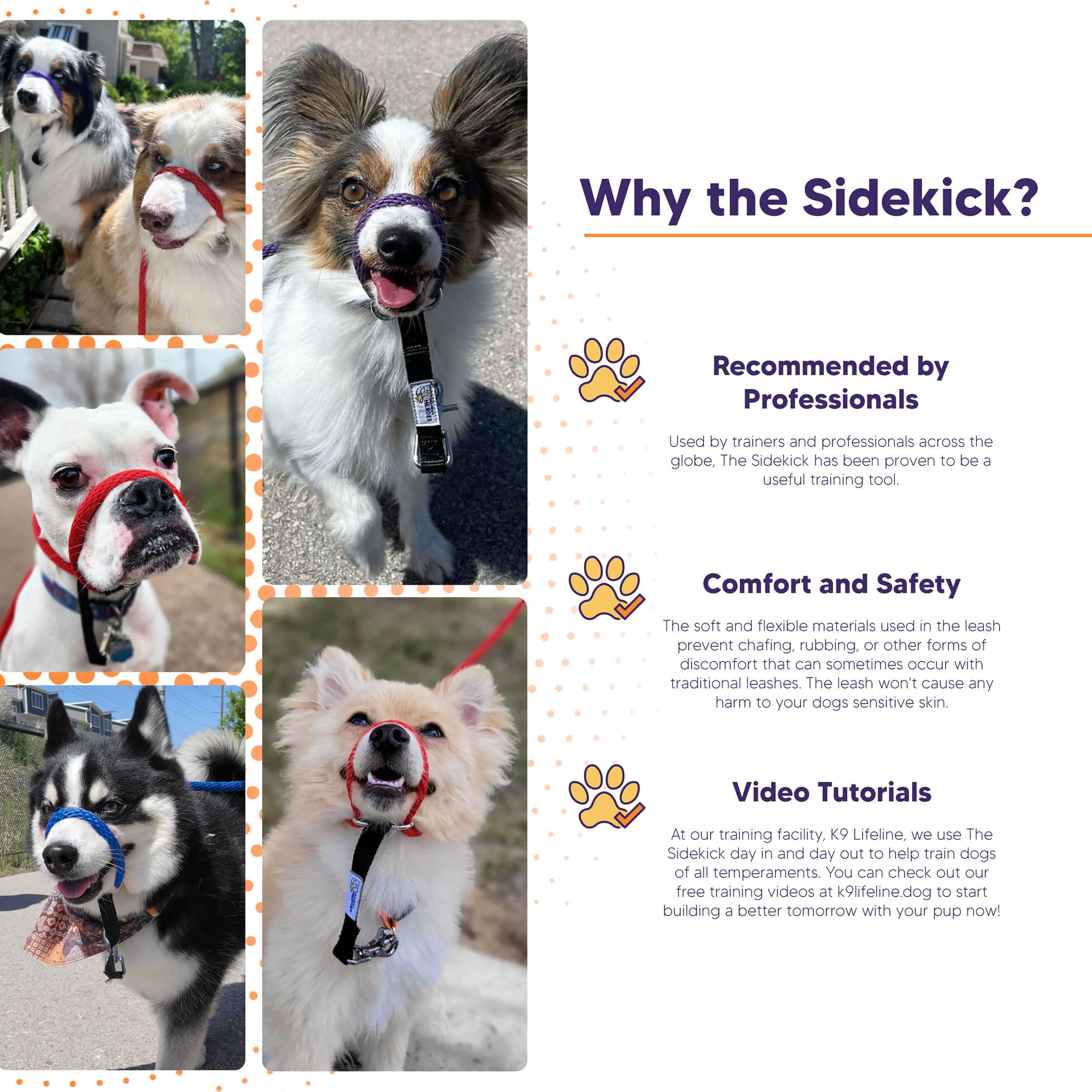 Heather's Heroes Sidekick gentle guidance blue for responsive behavior
