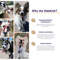 Heather's Heroes Sidekick gentle guidance blue for responsive behavior