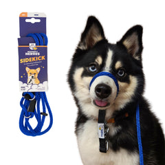 Heather's Heroes Sidekick No-Pull Leash blue promotes calmer walks for anxious dogs
