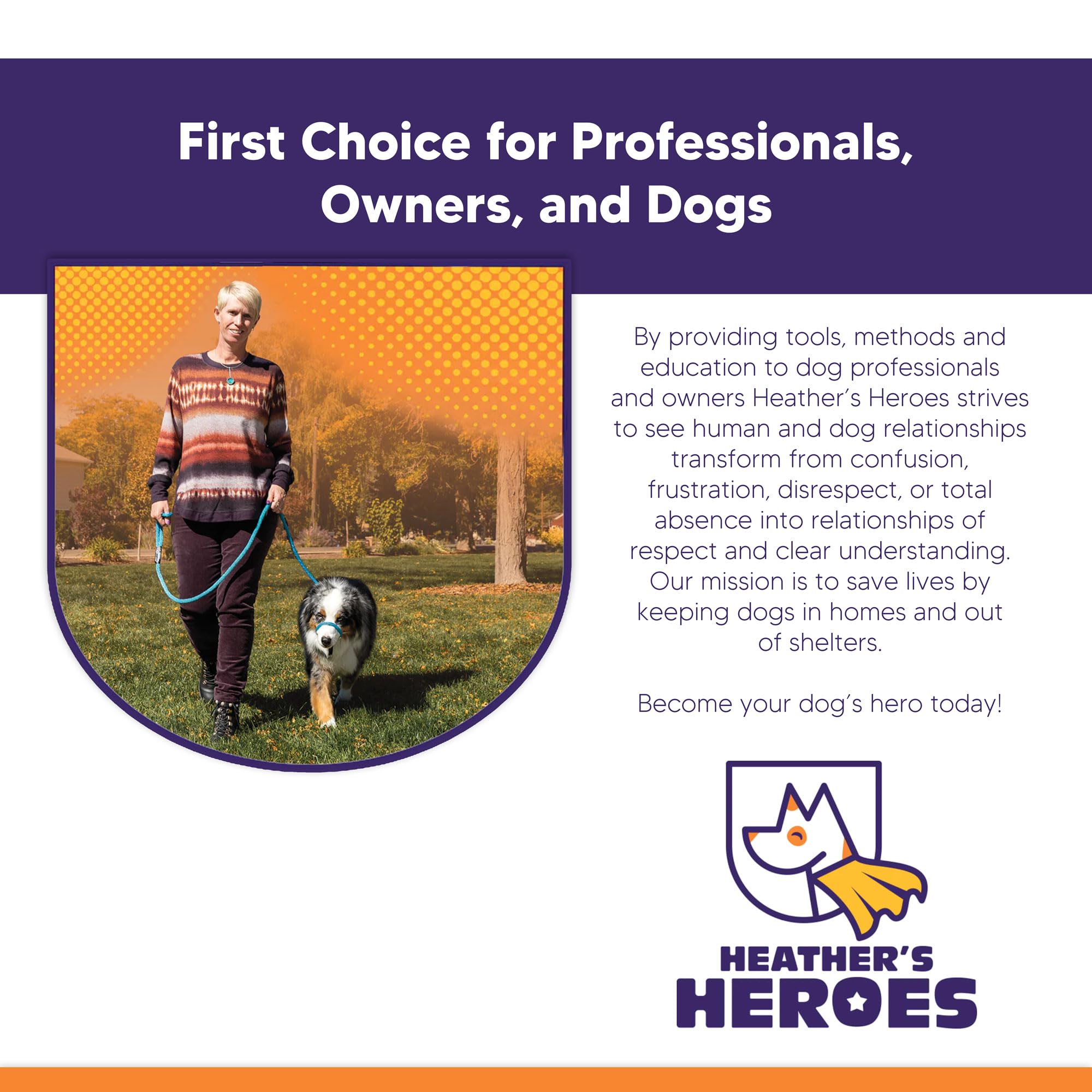 Heather's Heroes Sidekick professional choice blue trusted by trainers