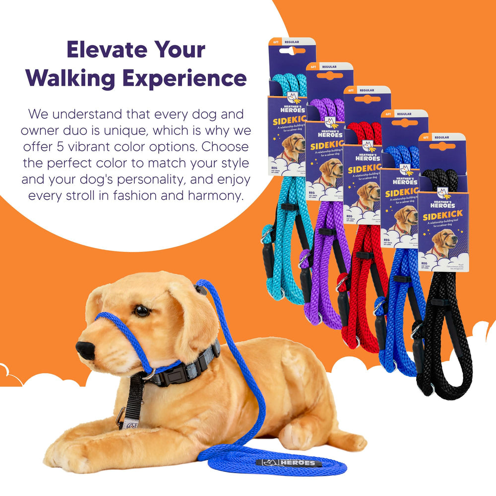 Heather's Heroes Sidekick reactivity training blue supports calmer outings