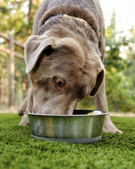 HeavyBowl polished stainless steel bowl is durable and easy to clean.