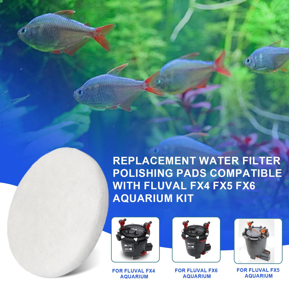 HEBRAR water polishing pad demonstrates crystal-clear water in a well-filtered aquarium.