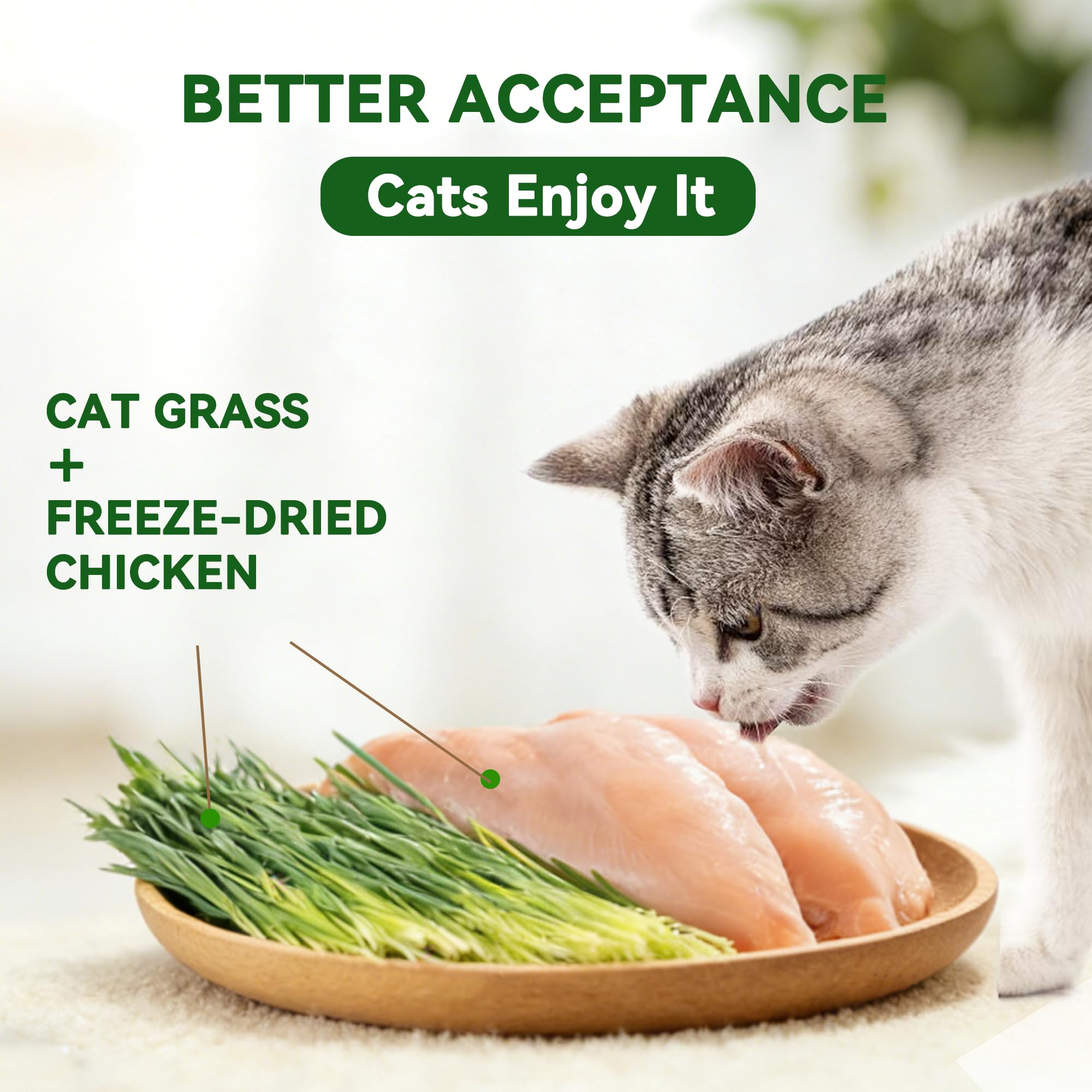 Heckin Yum cat grass fiber image highlighting natural fiber for digestion and hairball support.