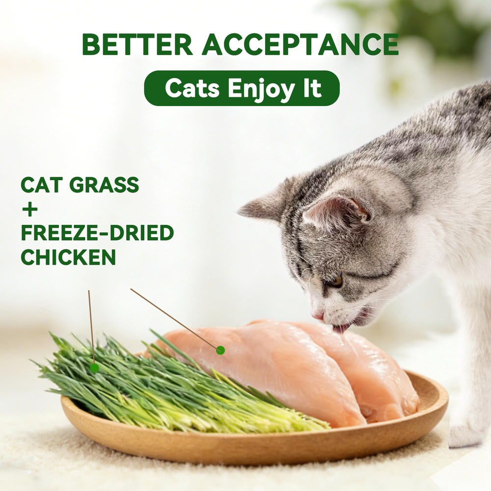 Heckin Yum cat grass fiber image highlighting natural fiber for digestion and hairball support.