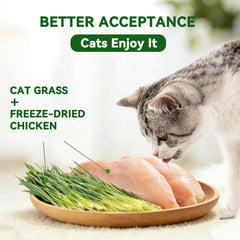 Heckin Yum cat grass fiber image highlighting natural fiber for digestion and hairball support.