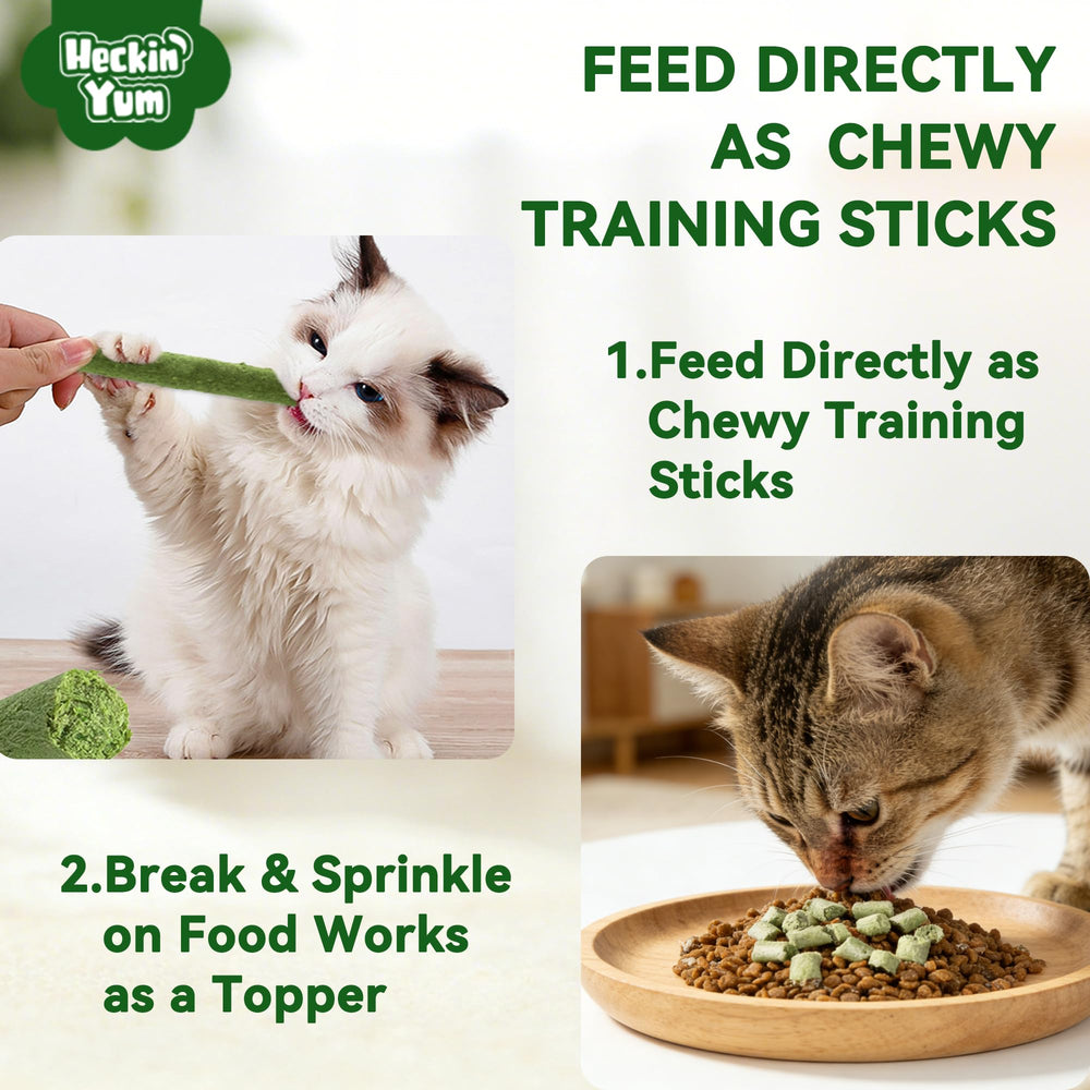 Heckin Yum indoor cat digestive support concept with fiber and prebiotics.