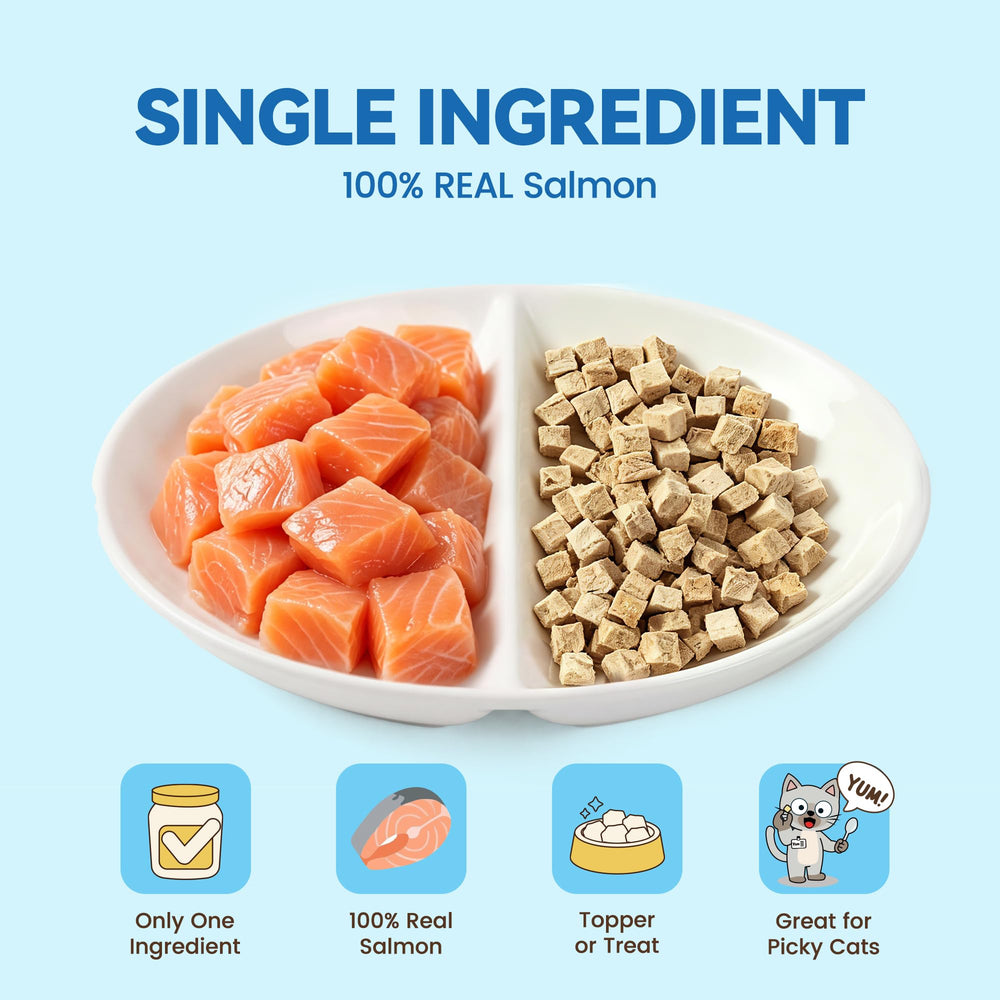 Heckin Yum salmon cat treats omega-3 rich bites support healthy skin and coat.