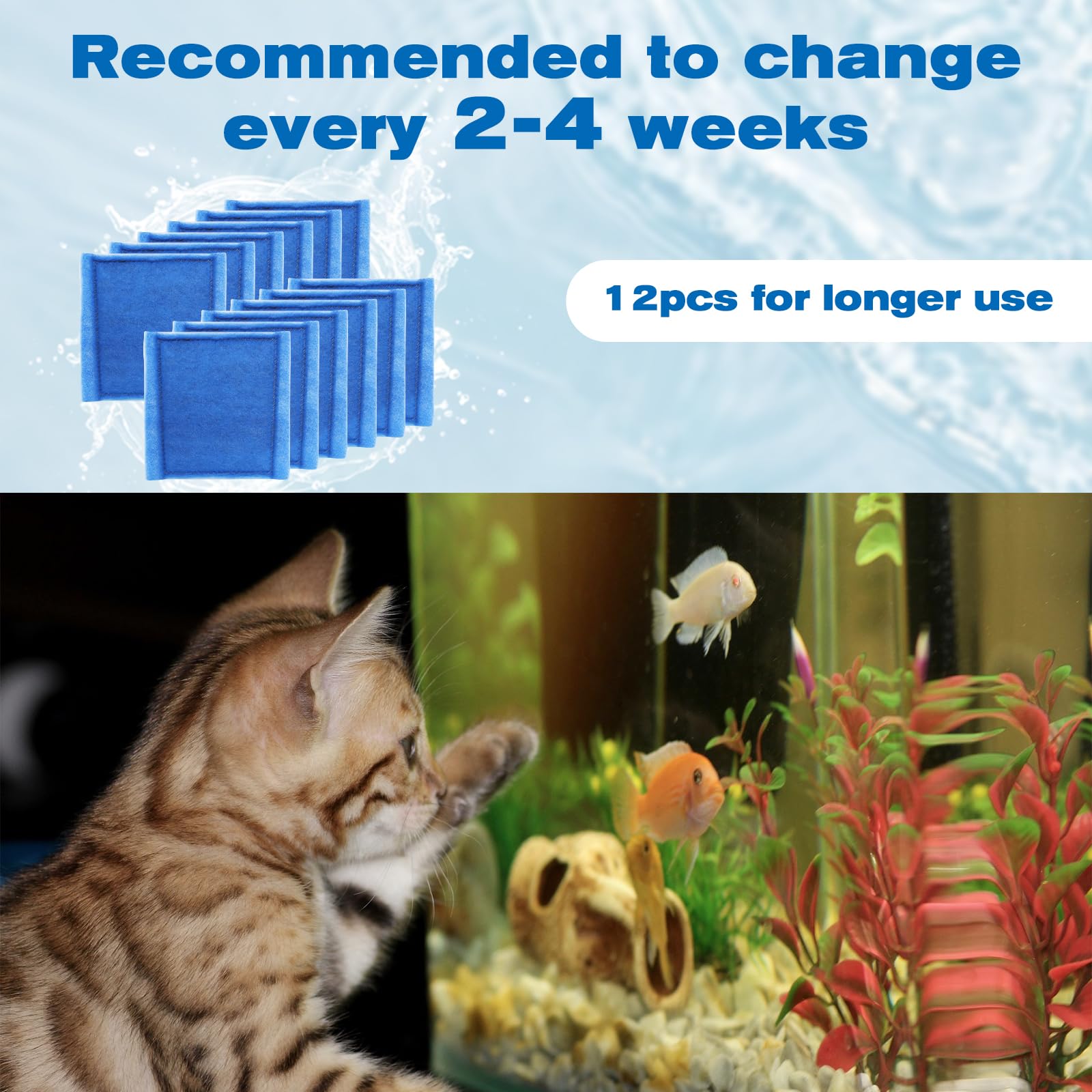 Hedday supports healthier tank conditions and clearer glass surfaces.