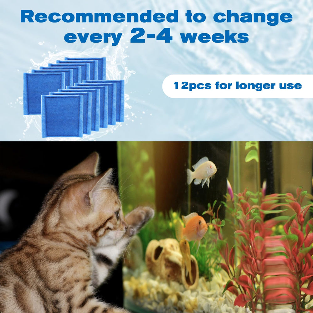 Hedday supports healthier tank conditions and clearer glass surfaces.