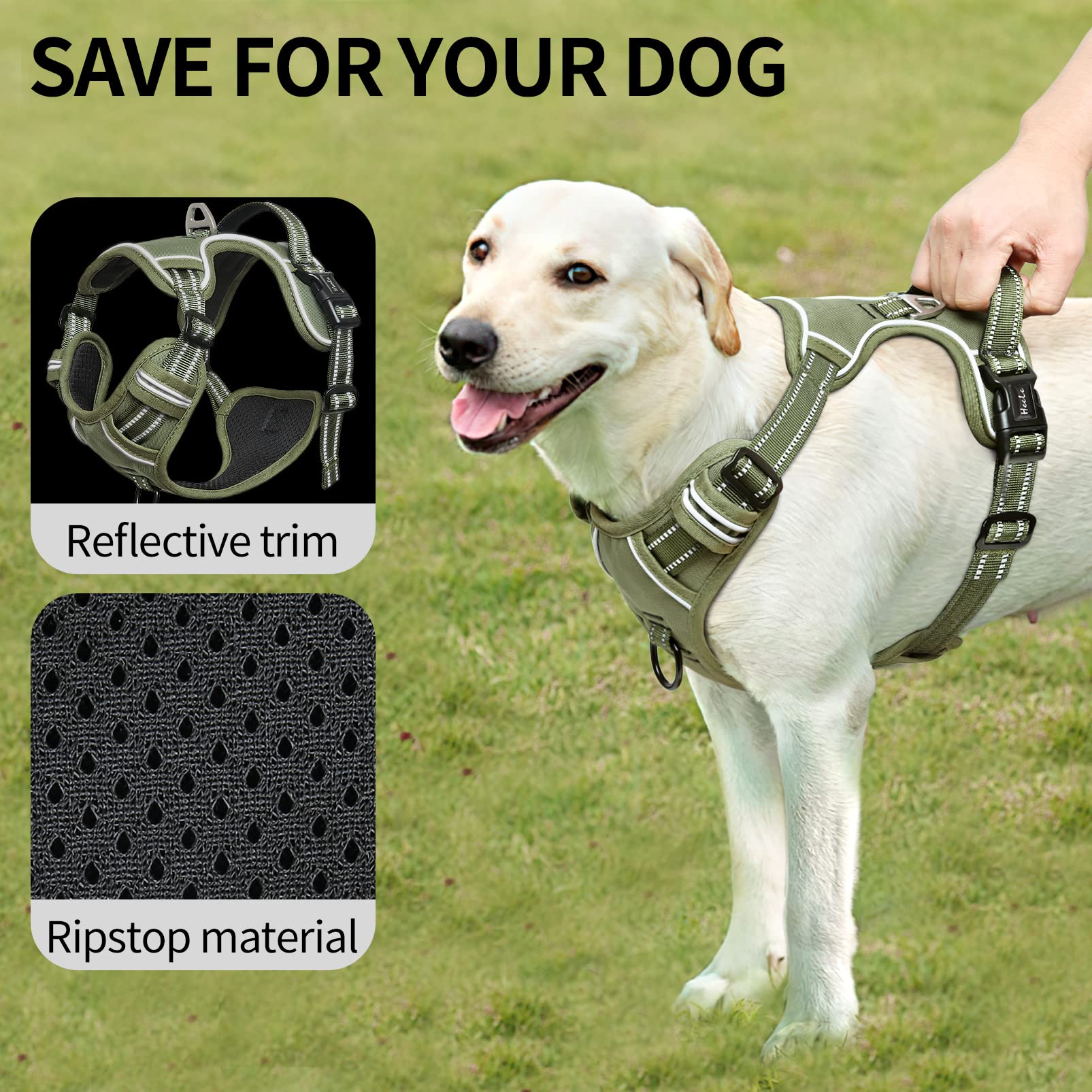 HEELE back handle helps you guide your dog quickly in crowds.