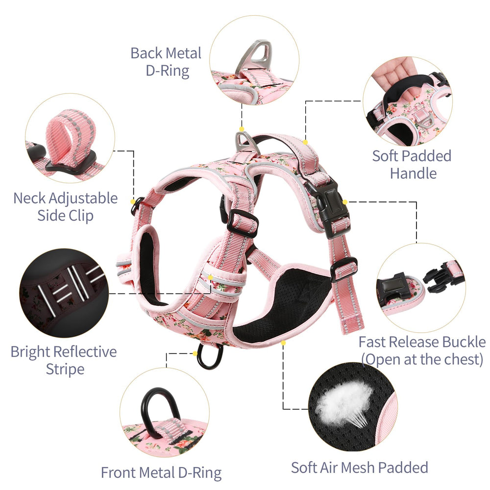 HEELE dog harness back view with handle for quick control during outings