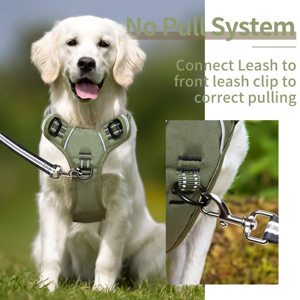 HEELE padded chest provides comfort for long walks and playful sessions.