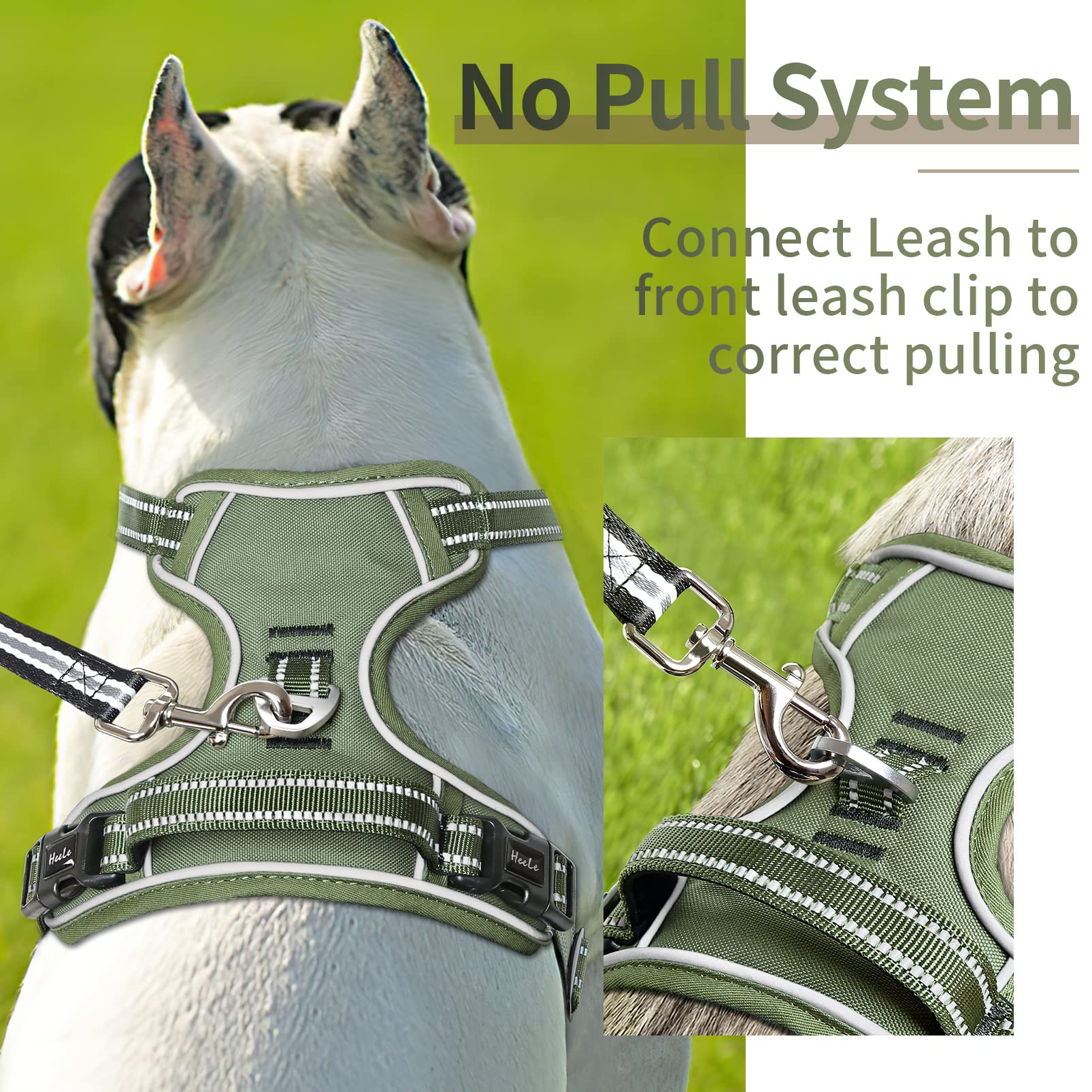 HEELE padded chest close-up highlighting comfort and protection.
