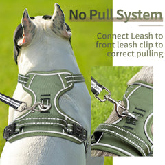 HEELE padded chest close-up highlighting comfort and protection.