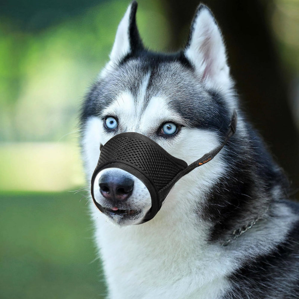 HEELE dog muzzle black color option suitable for many dogs.