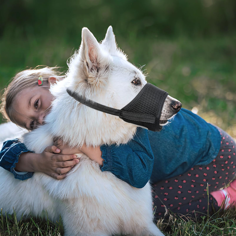 HEELE dog muzzle easy to clean and machine washable.