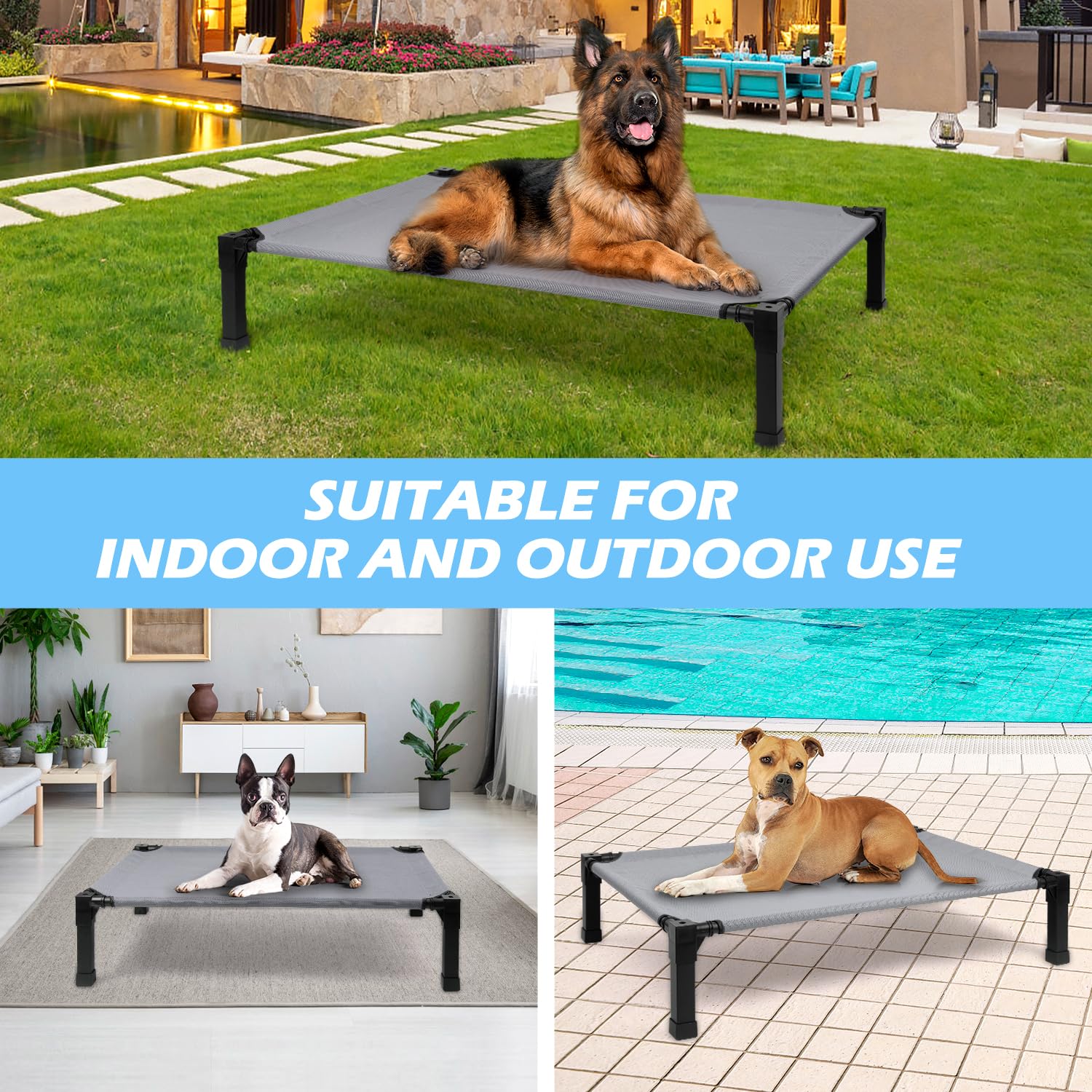 Heeyoo sturdy steel frame supports medium dogs securely