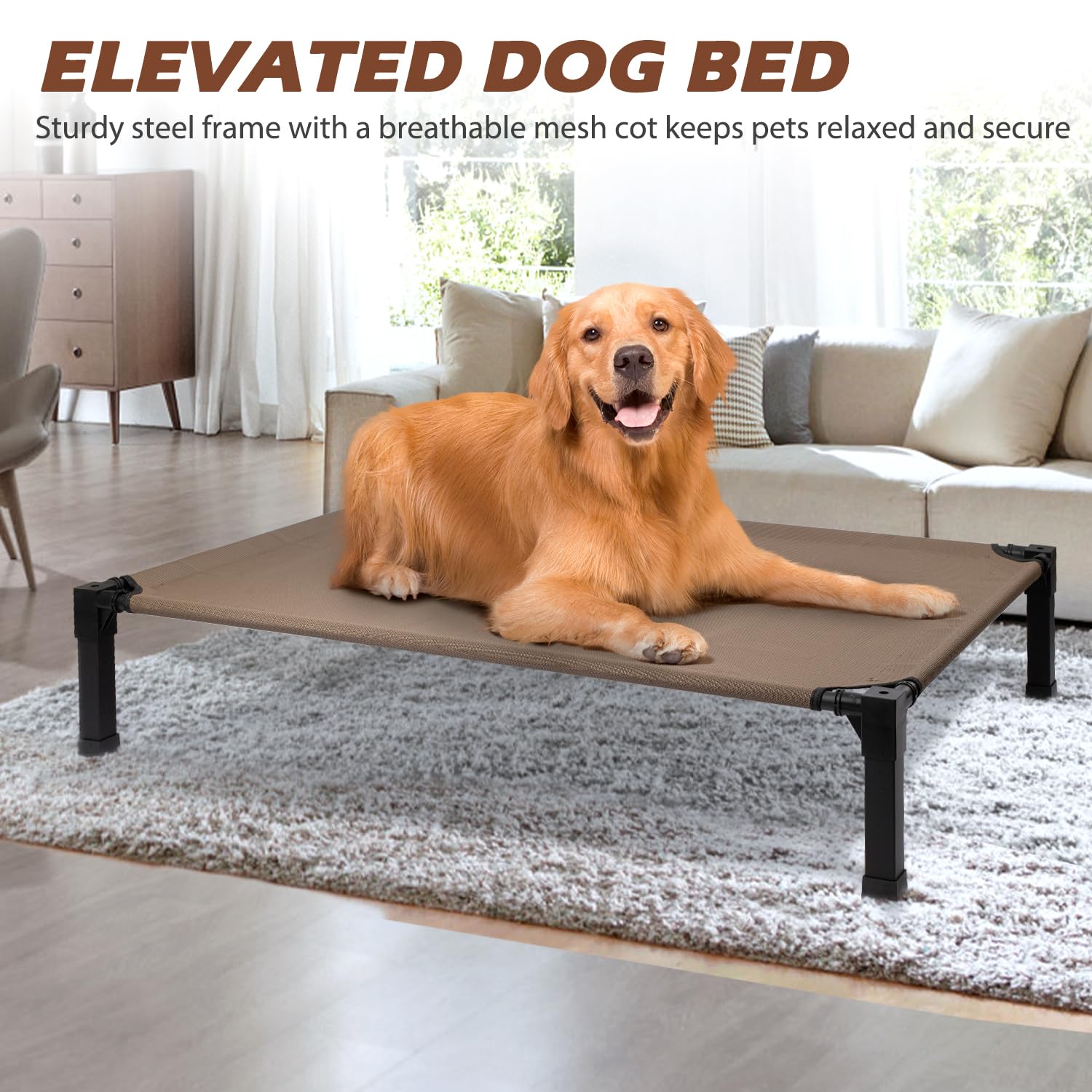 Heeyoo portable dog bed ideal for travel and outdoor adventures