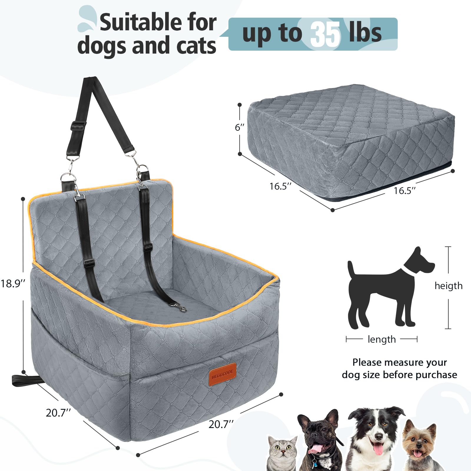 HEGGCOOE safety-belts keep small dogs secure during travel