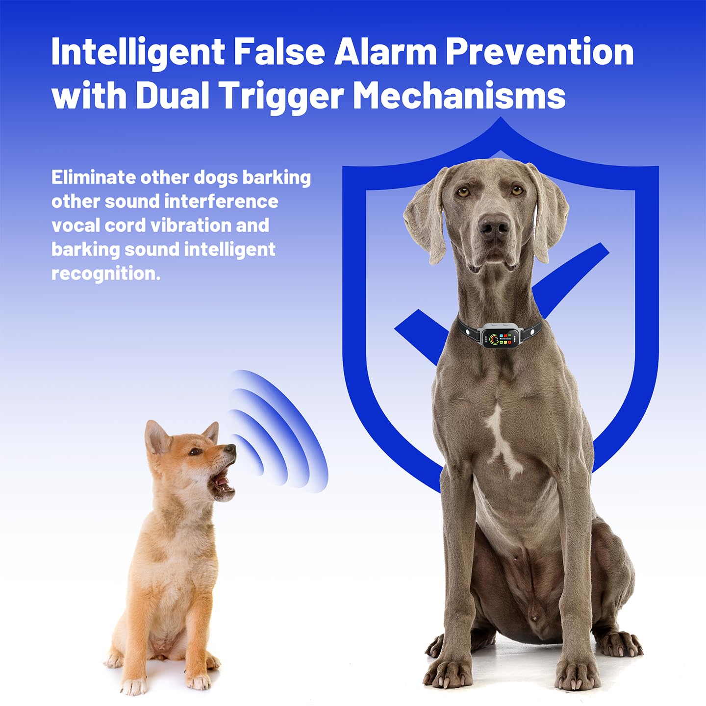 Beep and vibration cues from Heijace bark collar guiding training