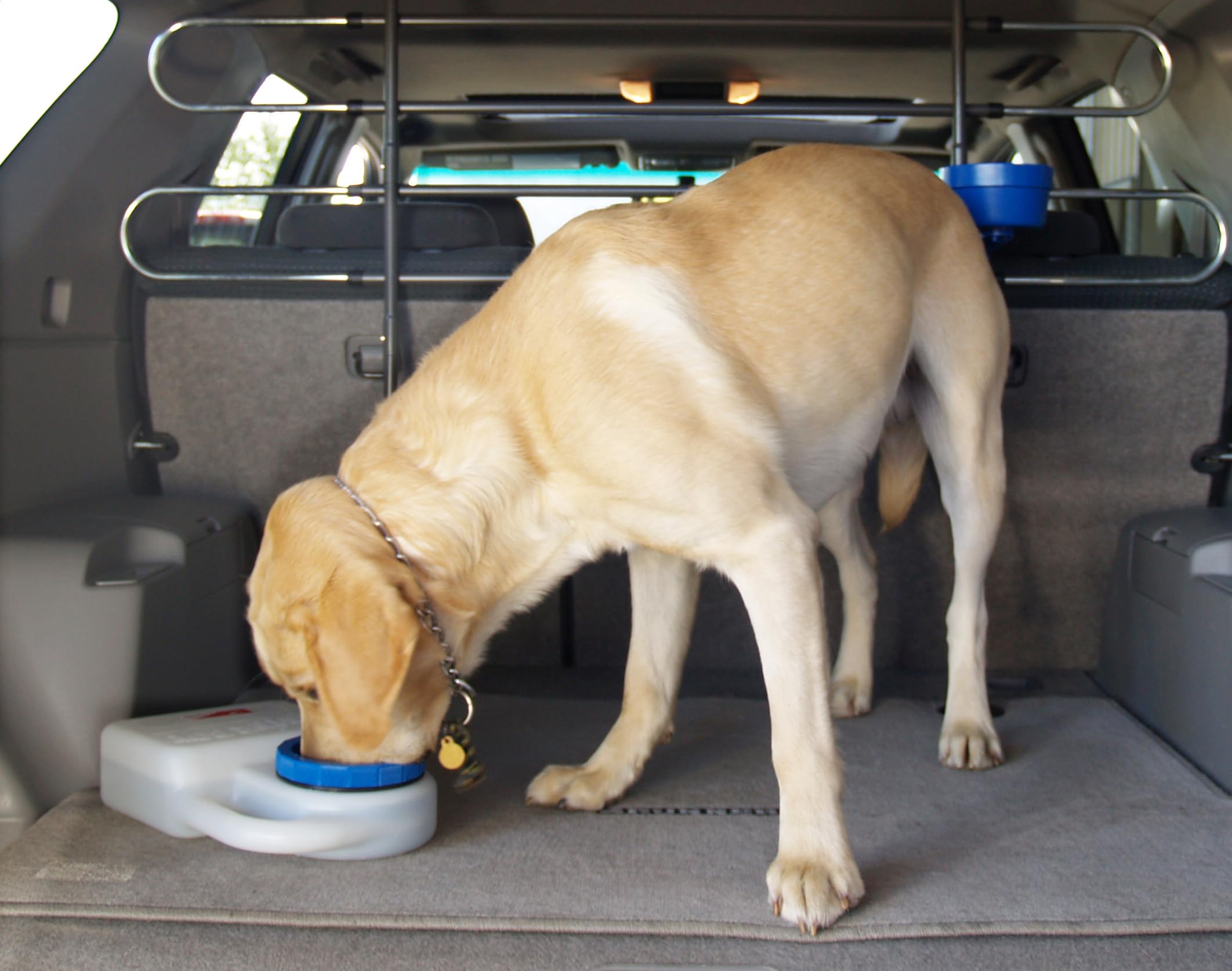 BPA-free WaterBoy dish offers safe, on-the-go hydration.