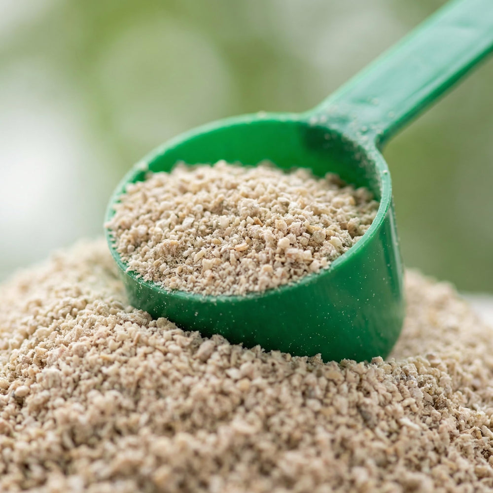 Close view of HEIRO herbal blend ingredients for daily vitality