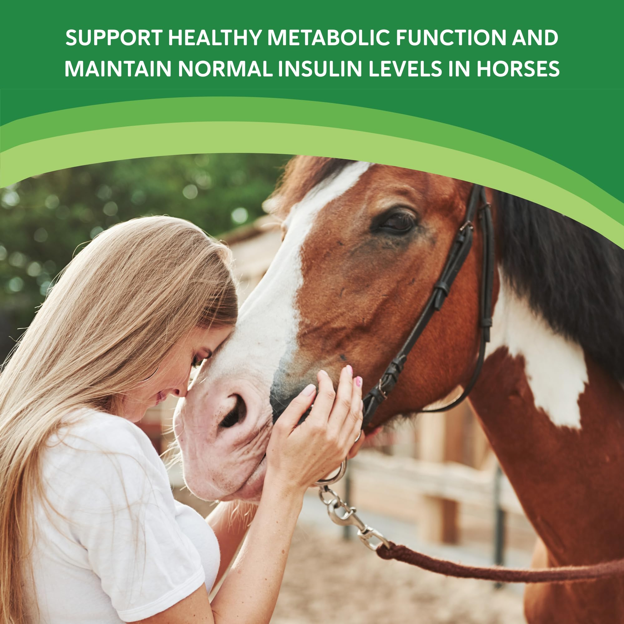 HEIRO spirulina cinnamon ginger visuals highlight antioxidant support.