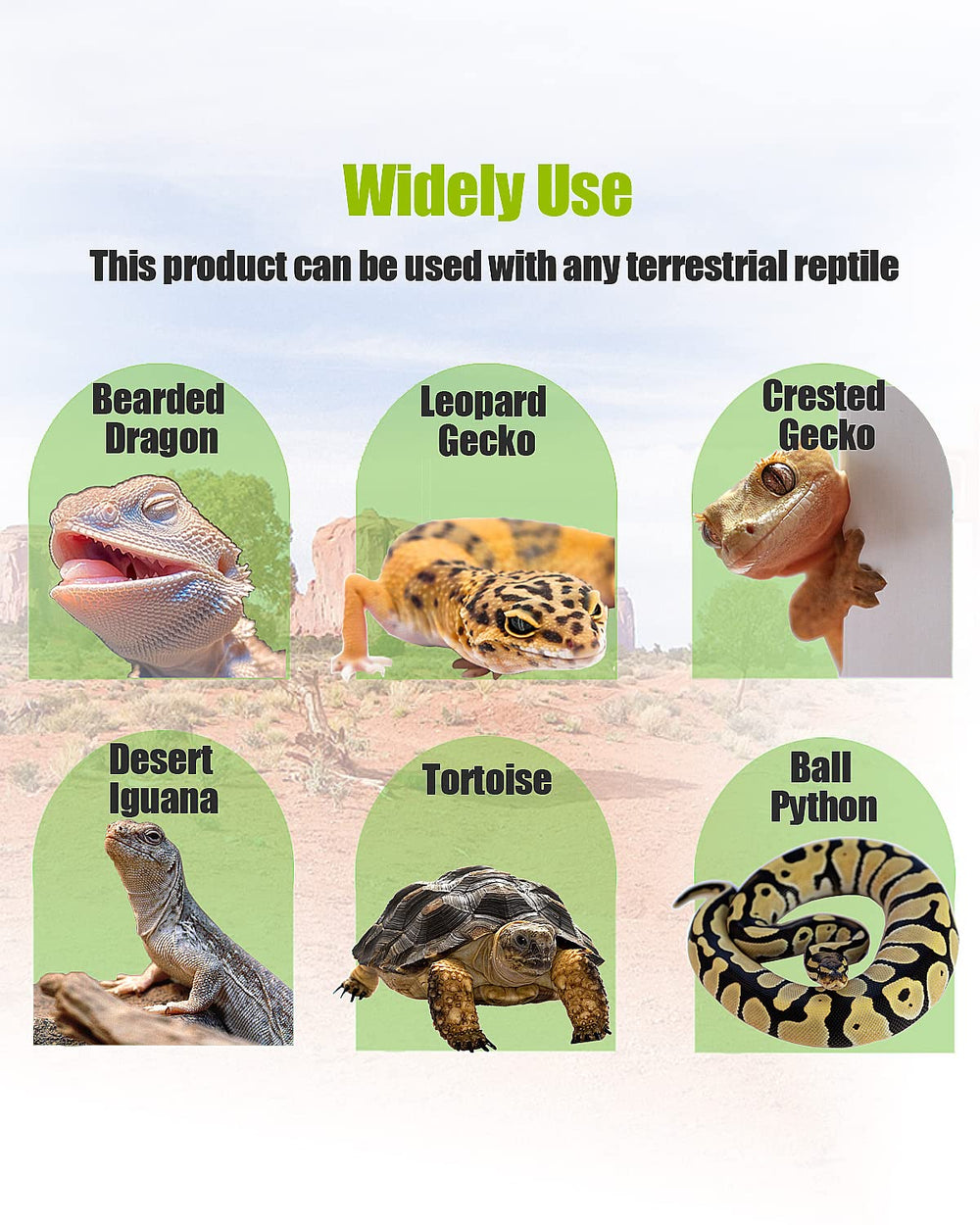 Helidrago leopard gecko tank liner designed for 120-gallon setups.