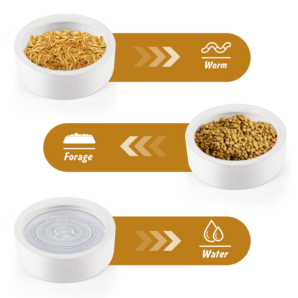 HELIME durable ceramic reptile feeder with smooth nonporous surface