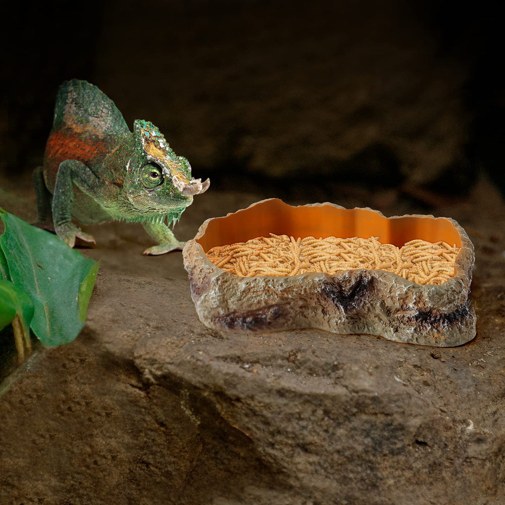 HELIME stable, durable reptile bowl stays steady even with larger pets