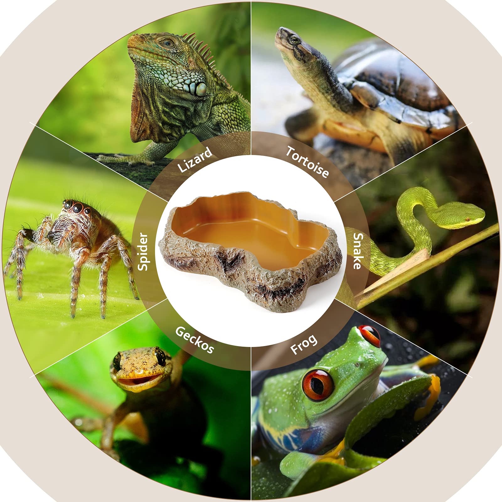 HELIME worm-dish for reptiles accommodates live foods like superworms and mealworms