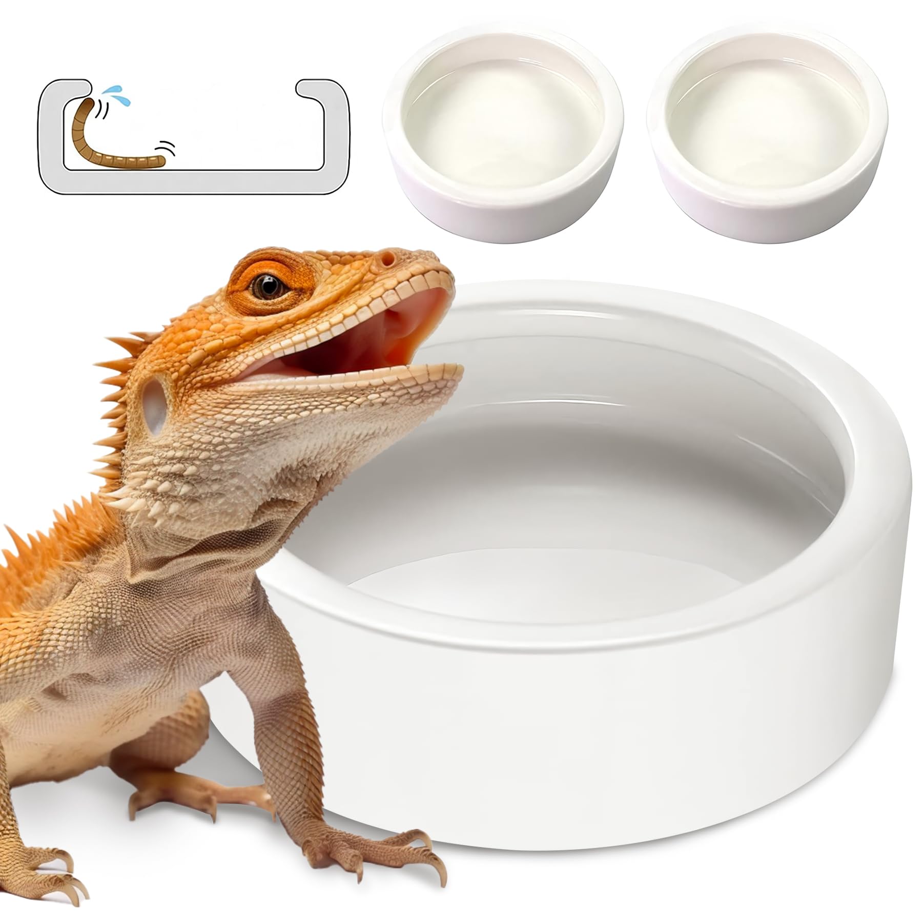 HELIME worm dish close-up on bright white ceramic for easy worm catching