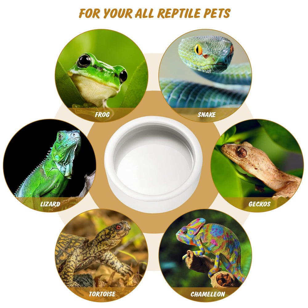 HELIME pair feeding bowls in terrarium support varied feeding setups