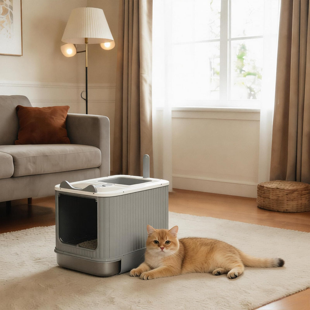 Helntova detachable hooded litter box is easy to assemble and portable.
