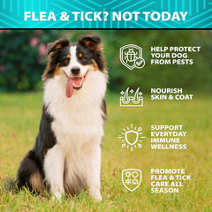 Helopssa soft-duck-chews serving—tasty, vet-formulated wellness for dogs.