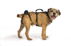 Help 'Em Up dog lift harness with full-body support for easy lifting