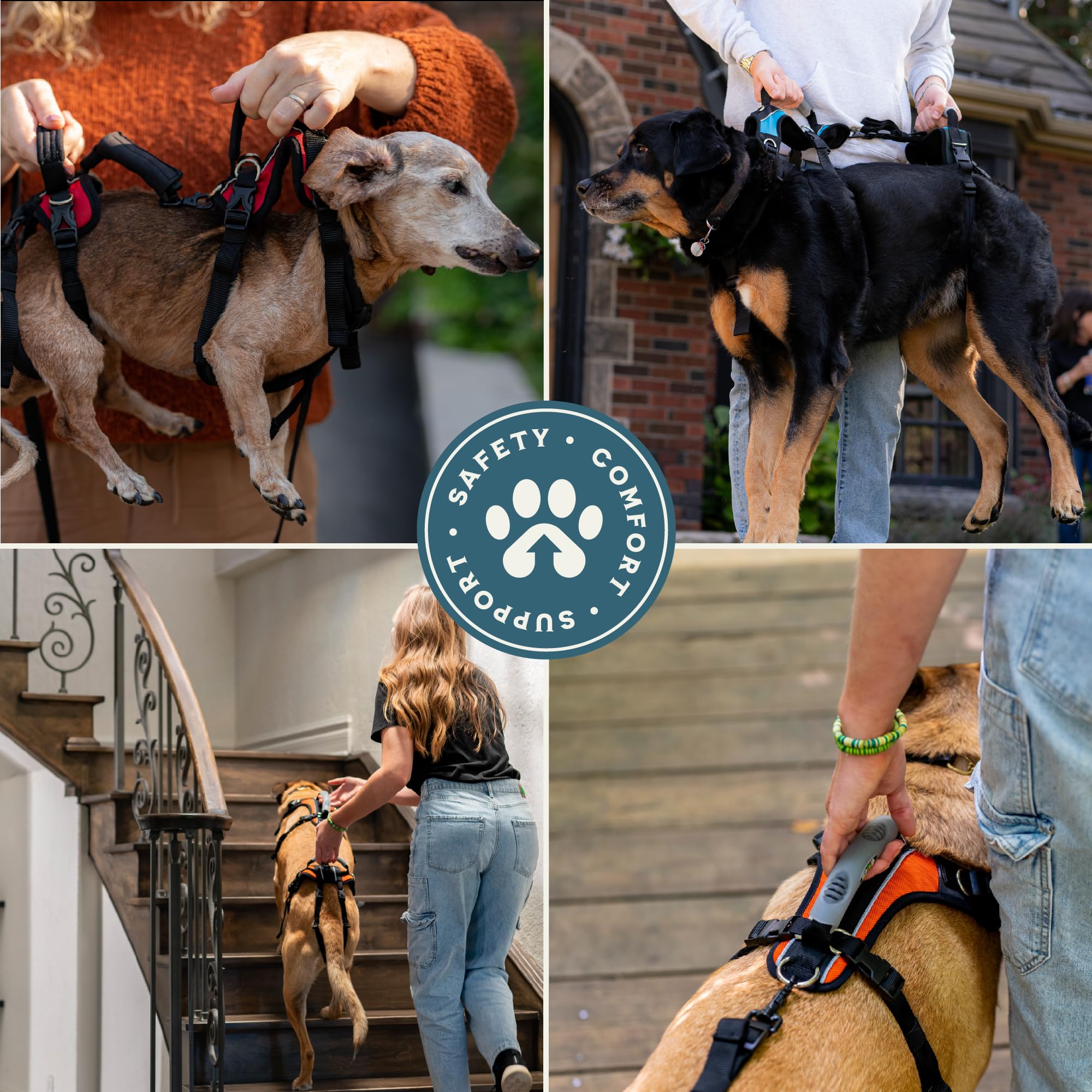 Help 'Em Up offers size and style options for different dog shapes