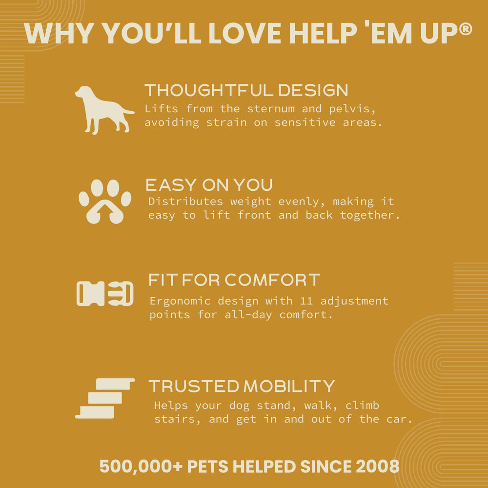 Help 'Em Up U-band style supports hindquarters for dogs with anatomy set further back.