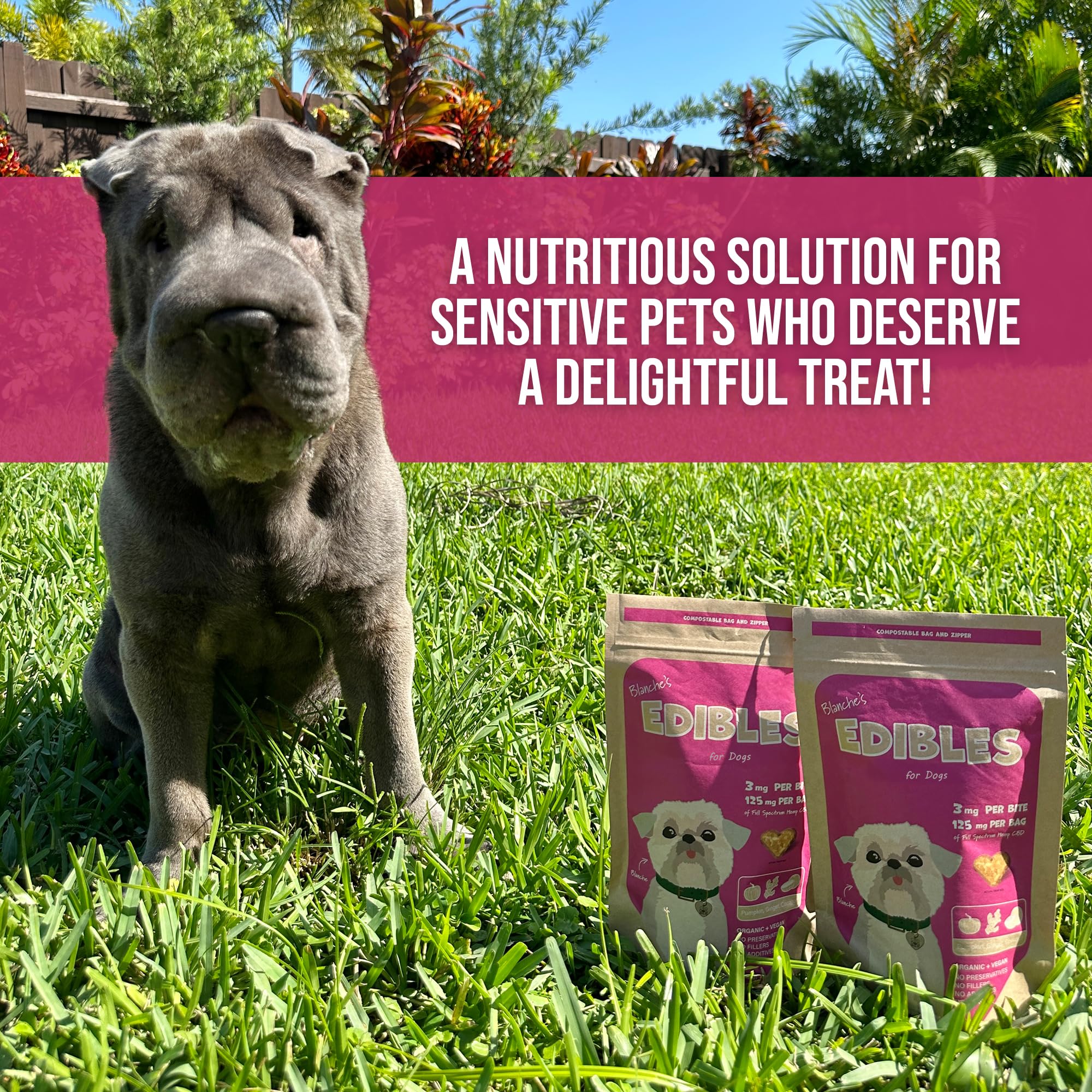 Hemp Dog Health Blanche daily 3 mg hemp dose per treat
