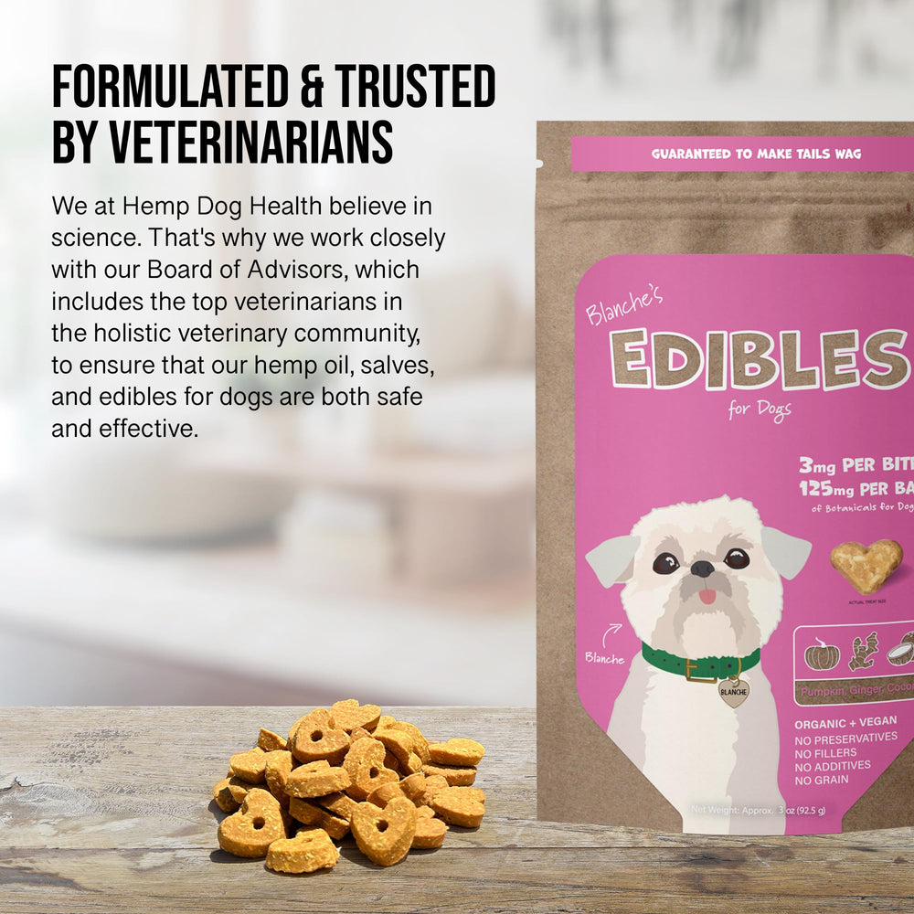 Hemp Dog Health Blanche relaxed dog after treats demonstration