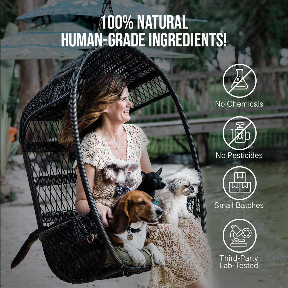 Hemp Dog Health Calm drops dog-relaxed scene suggesting mood balance after stimulus