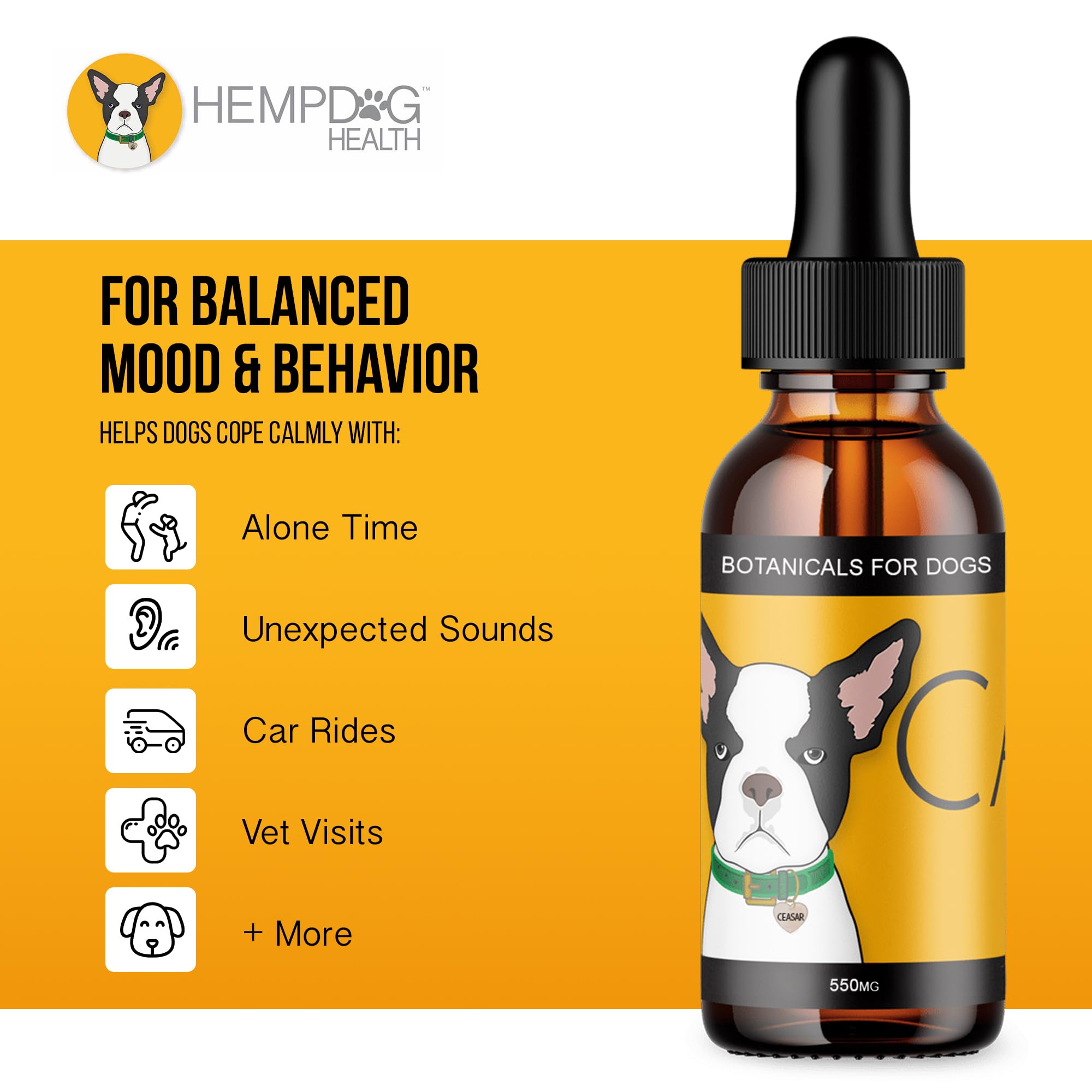 Hemp Dog Health Calm drops travel scene compatible with trips for calmer travels